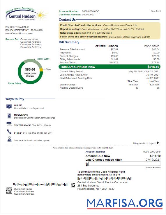 Downloadable USA NEW YORK CENTRAL HUDSON utility bill Word and PDF template